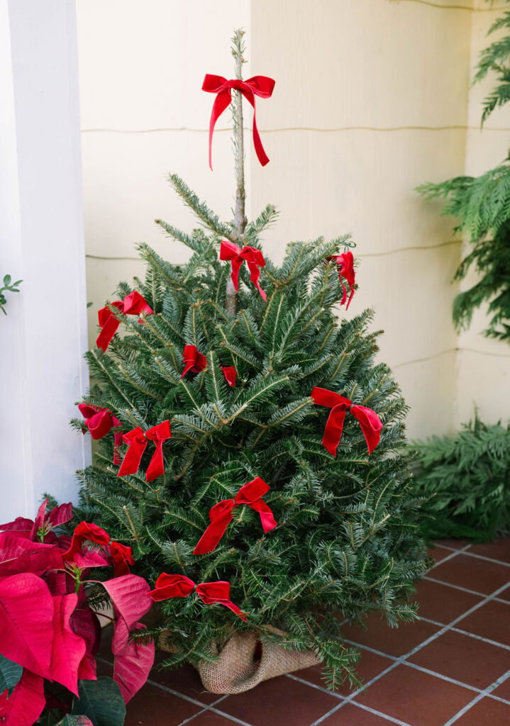 The Pretty Porch Company DFW Christmas Porch Decorating